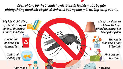 Phòng, chống bệnh sốt xuất huyết
